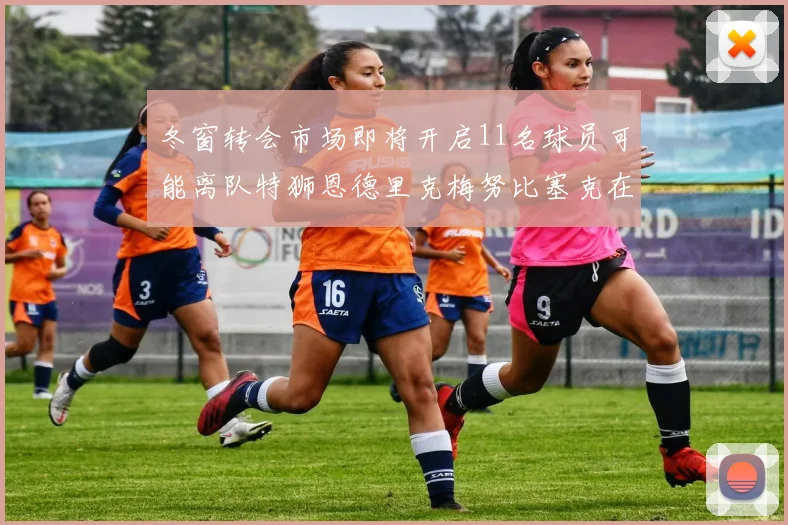 冬窗转会市场即将开启11名球员可能离队特狮恩德里克梅努比塞克在列
