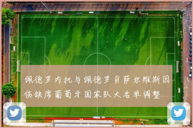 佩德罗内托与佩德罗贡萨尔维斯因伤缺席葡萄牙国家队大名单调整